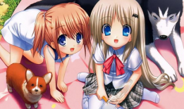 日本动漫18,探寻18岁少年的奇幻之旅