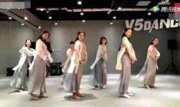 中国范儿舞蹈视频,跟随舞蹈视频领略民族风采